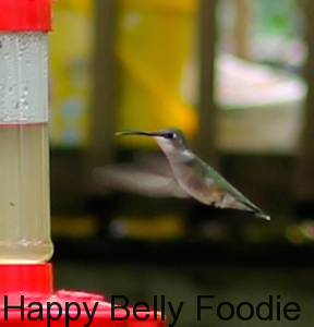 Hummingbird Feed ~ A garden recipe and discussion - Happy Belly Foodie